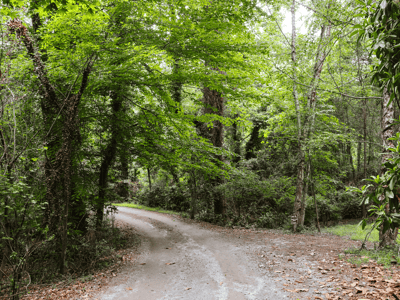240 Beech Creek Road, Athens, GA