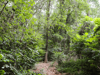 240 Beech Creek Road, Athens, GA