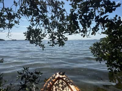 1593 Pinellas Bayway S #1, Tierra Verde, FL