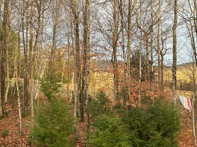 158 Camp Road, Burke, VT