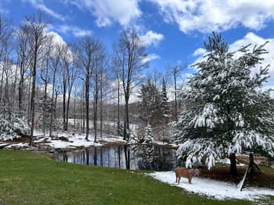 158 Camp Road, Burke, VT