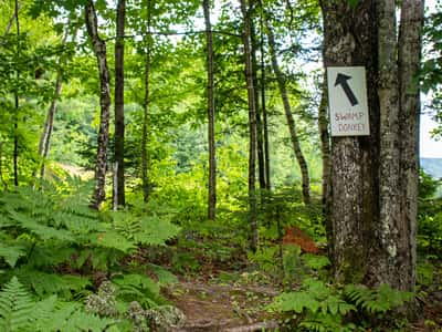 158 Camp Road, Burke, VT