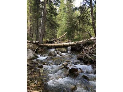 3894 Fourth of July Rd, Nederland, CO