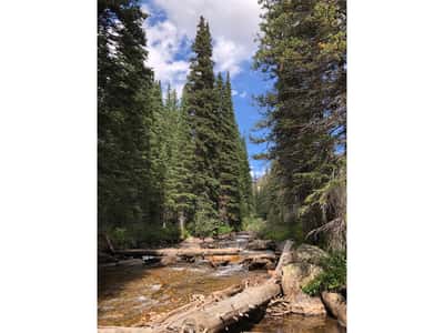 3894 Fourth of July Rd, Nederland, CO