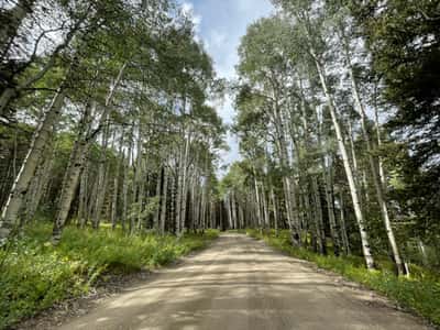 3894 Fourth of July Rd, Nederland, CO