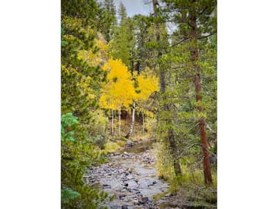 3894 Fourth of July Rd, Nederland, CO