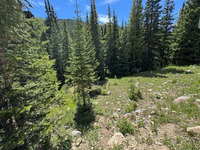3894 Fourth of July Rd, Nederland, CO
