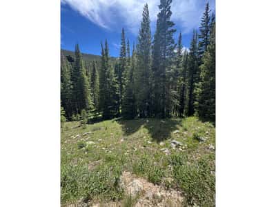3894 Fourth of July Rd, Nederland, CO