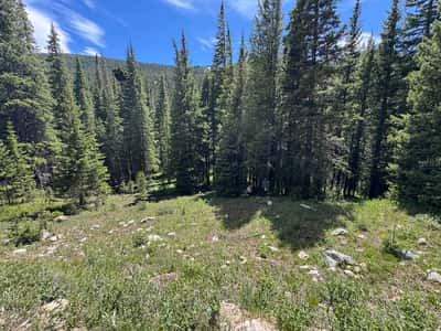 3894 Fourth of July Rd, Nederland, CO