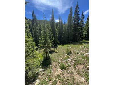 3894 Fourth of July Rd, Nederland, CO