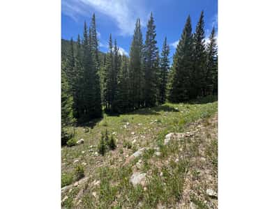 3894 Fourth of July Rd, Nederland, CO