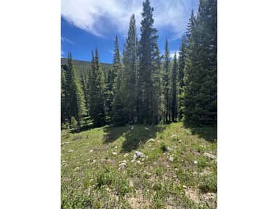 3894 Fourth of July Rd, Nederland, CO
