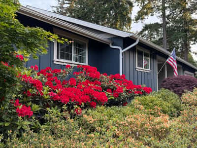Cozy home featuring vibrant landscaping and a welcoming façade, perfect for enjoying outdoor moments.