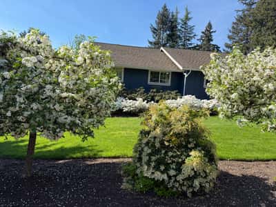 Discover this inviting home surrounded by vibrant landscaping and lush greenery, perfect for outdoor enthusiasts.