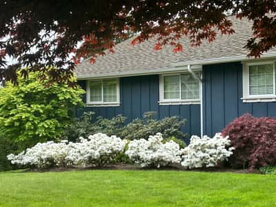 Discover a beautifully landscaped home featuring vibrant flowers and lush greenery in a peaceful neighborhood setting.