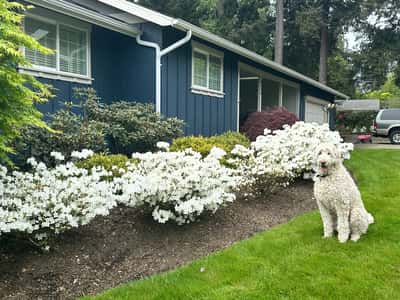 This well-maintained home features vibrant landscaping and a welcoming atmosphere, perfect for family gatherings.