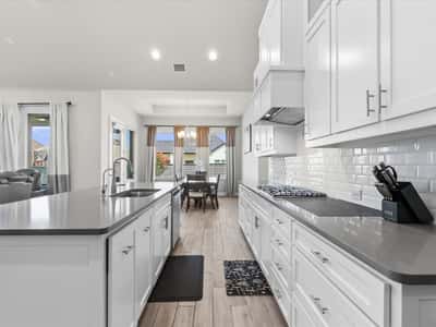 7025 Central Court, Aubrey, TX