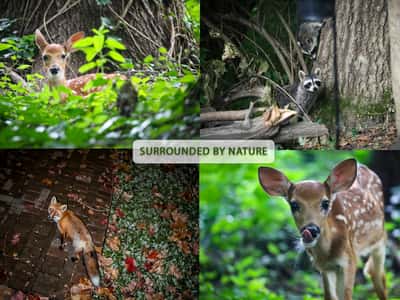 7 Deer Run, O'Fallon, IL