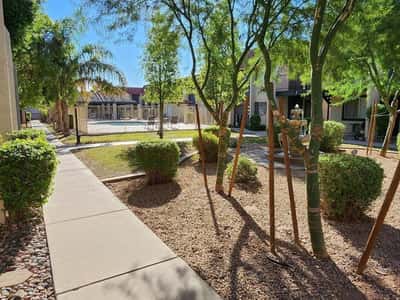 Attractive walking paths wind through professionally landscaped common areas featuring mature shade trees and desert-friendly landscaping. The peaceful surroundings enhance everyday living.