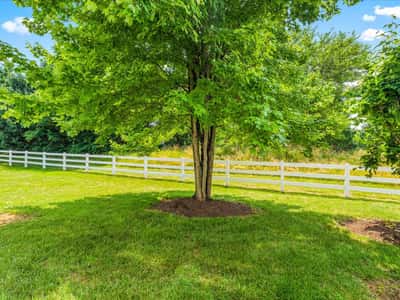 400 Stone Springs Lane, Middletown, MD