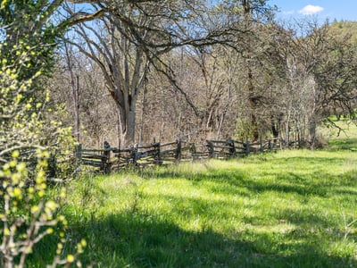 Buckhorn Road #1000, Ashland, OR