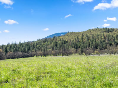 Buckhorn Road #1000, Ashland, OR