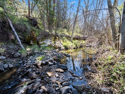 Buckhorn Road #1000, Ashland, OR