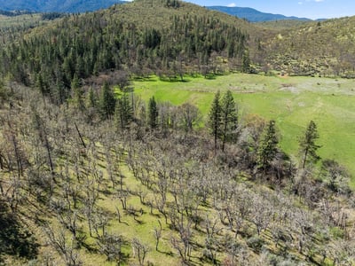 Buckhorn Road #1000, Ashland, OR