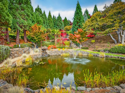 200 Belle Fiore Ln, Ashland, OR
