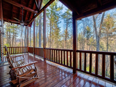 138 Lucius Lane, Cherry Log, GA