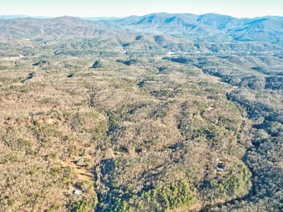 138 Lucius Lane, Cherry Log, GA