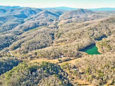 138 Lucius Lane, Cherry Log, GA