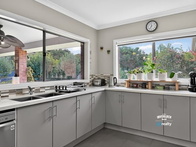 Modern kitchen featuring spacious countertops and abundant natural light, ideal for culinary enthusiasts and gatherings.