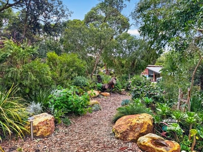 Discover a lush, vibrant garden path featuring diverse flora and natural stone accents, perfect for nature lovers.