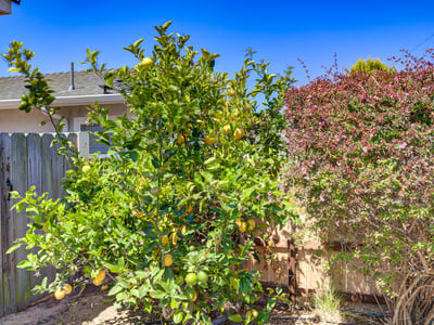 444 Walnut St, Arroyo Grande, CA
