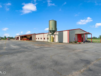 160 Neely Camp Road, Sarepta, LA