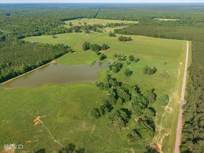 Spacious acreage featuring a picturesque pond, abundant greenery, and endless possibilities for development or leisure.