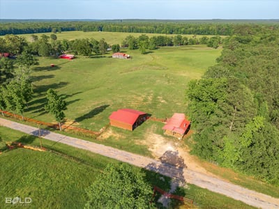 Spacious rural property featuring open fields, multiple outbuildings, and scenic views, perfect for your dream home.
