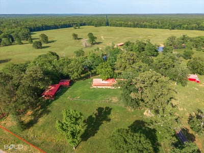 Expansive rural property featuring large open fields, mature trees, and a tranquil pond for outdoor enjoyment.