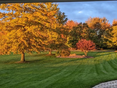 Morning sun brings a glow to the changing fall colors.