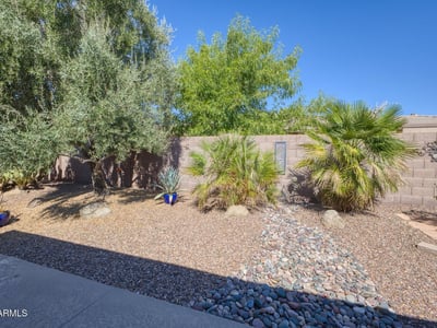 Thoughtfully landscaped with mature trees and desert plants, this backyard offers beauty and privacy with minimal upkeep.