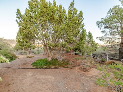 Mature trees and gently sloped terrain create a serene outdoor environment perfect for unwinding, exploring, or enhancing the home s natural landscape.