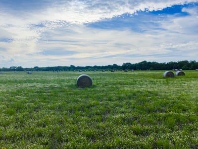 16833 County Road 2200, Lometa, TX