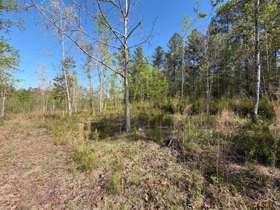 2125 Hwy 247, Belton, SC