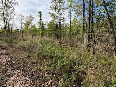 2125 Hwy 247, Belton, SC