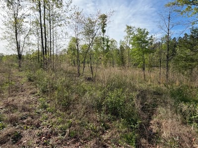 2125 Hwy 247, Belton, SC
