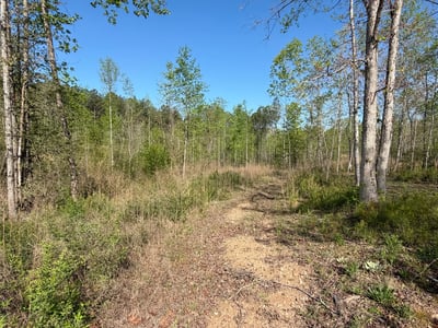 2125 Hwy 247, Belton, SC