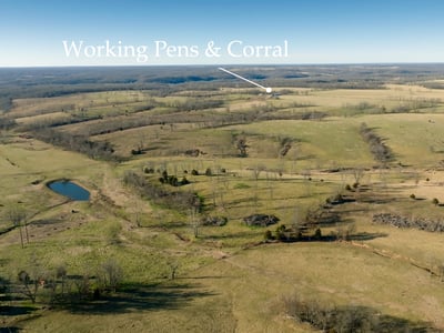 Looking north west toward Joplin. The cattle pens are on the north border, and the tree line to the far west (L) is the west property line.