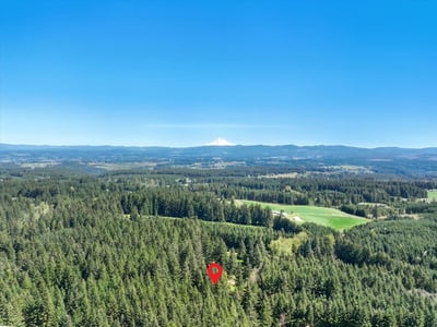21825 S Lewellen Rd, Beavercreek, OR