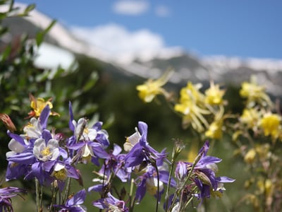 112 N. Pine Street, Breckenridge, CO